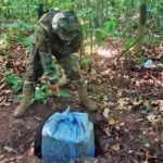 La FELCN halla casi 195 kilos de droga dentro de bolsa de yute enterrada