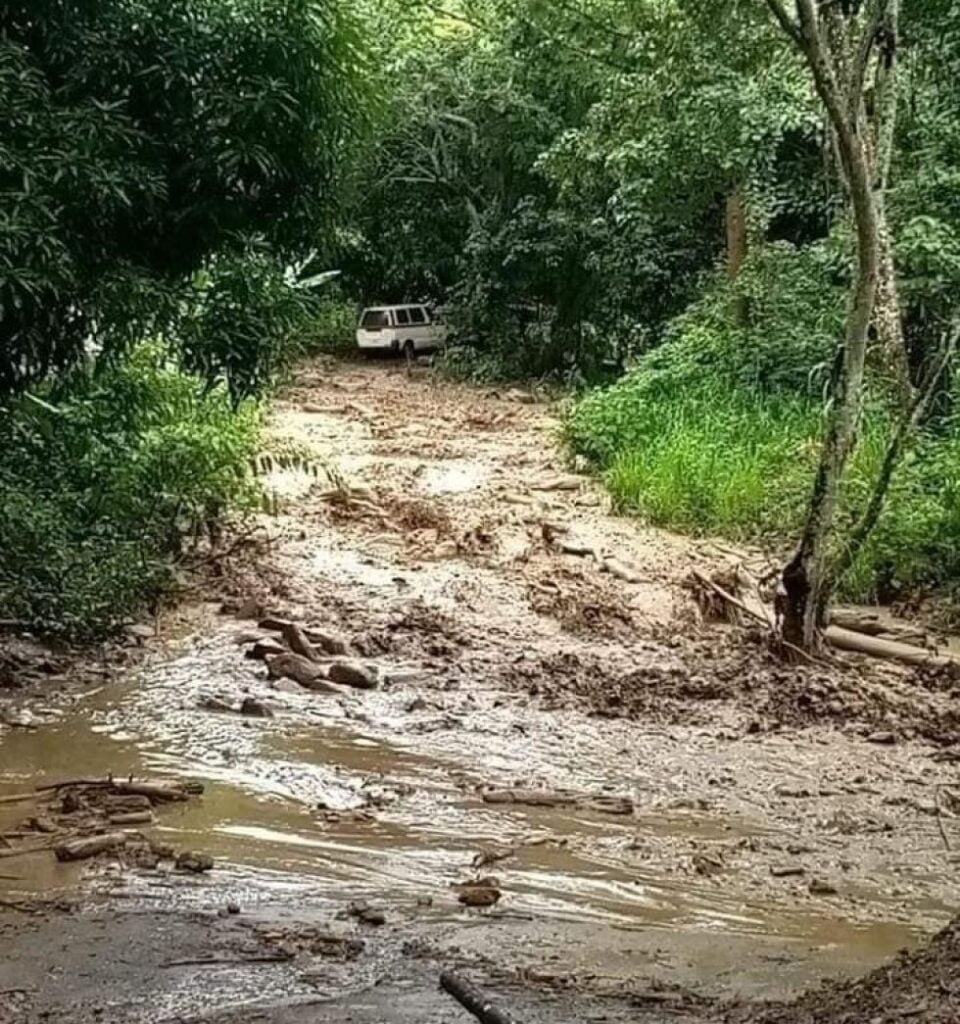 Buscan desesperadamente a Nilda, joven desaparecida tras inundación en Irupana