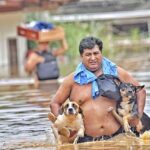 Activistas rescatan animales afectados por las inundaciones en Cobija