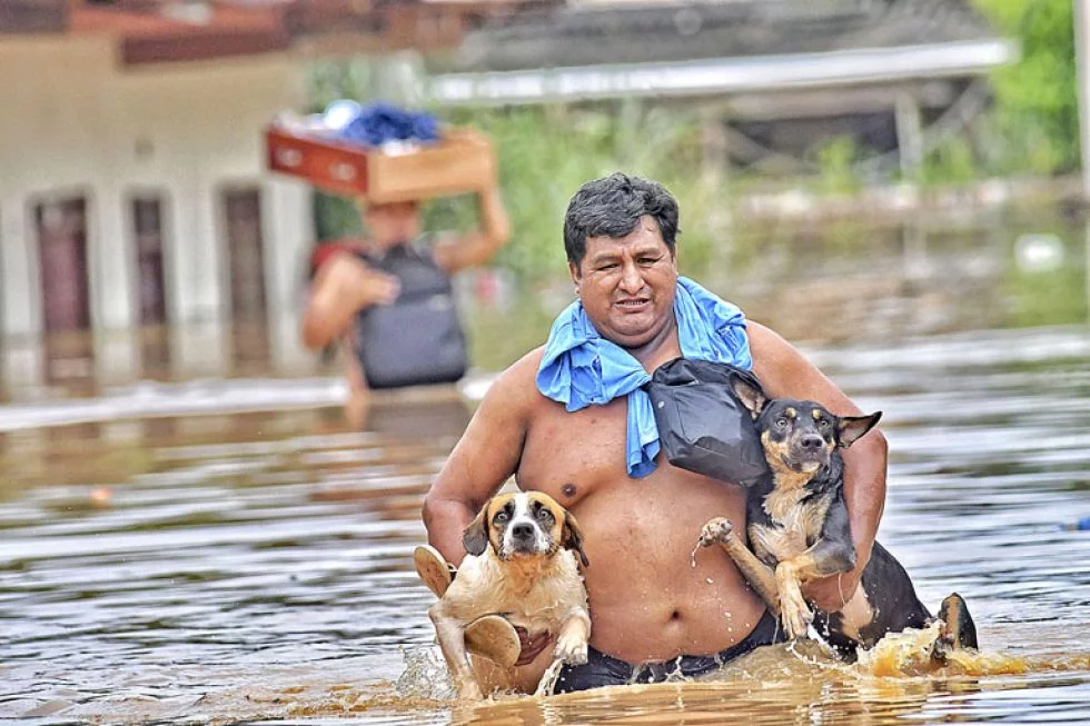 Activistas rescatan animales afectados por las inundaciones en Cobija