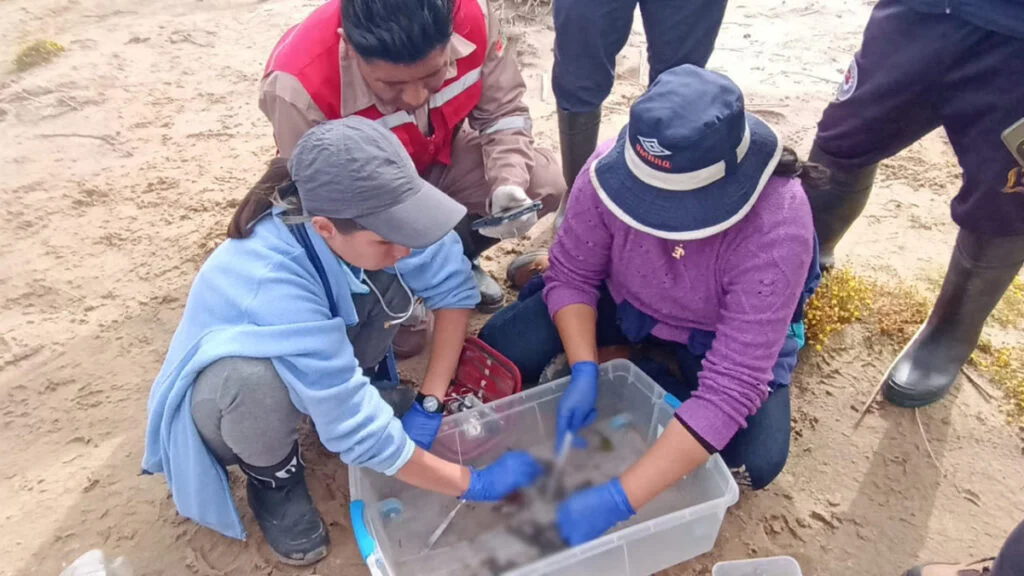 Ministerio de Medio Ambiente investiga la muerte de ranas en el río Suches