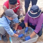 Ministerio de Medio Ambiente investiga la muerte de ranas en el río Suches