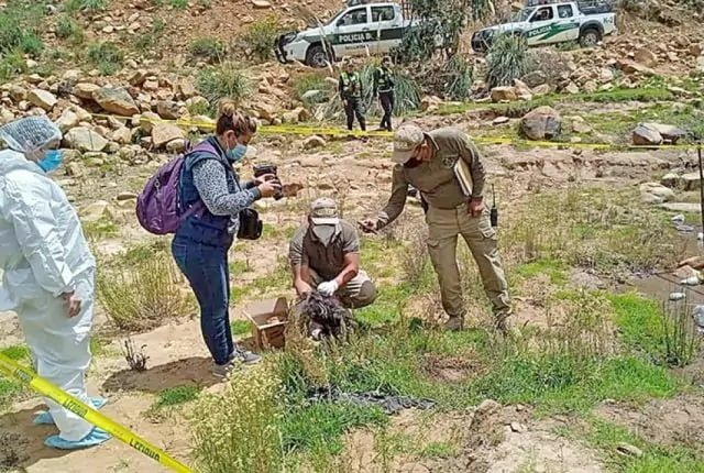Comunarios de Sacaba hallan una cabeza humana a orillas del lago San Isidro
