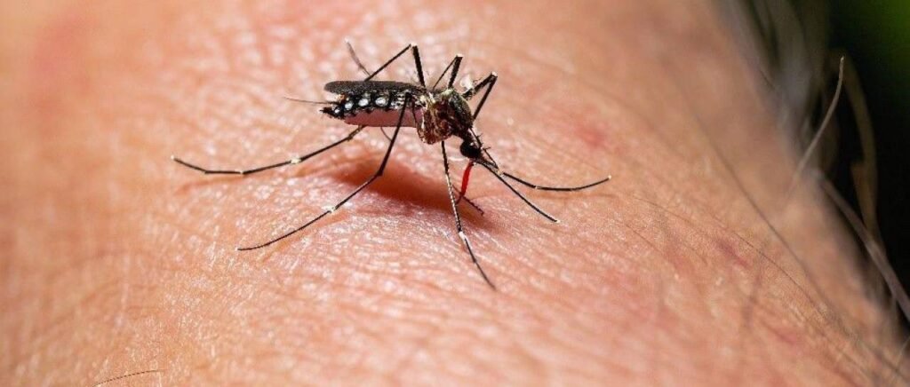 Muere un niño de 11 años por dengue en Cochabamba