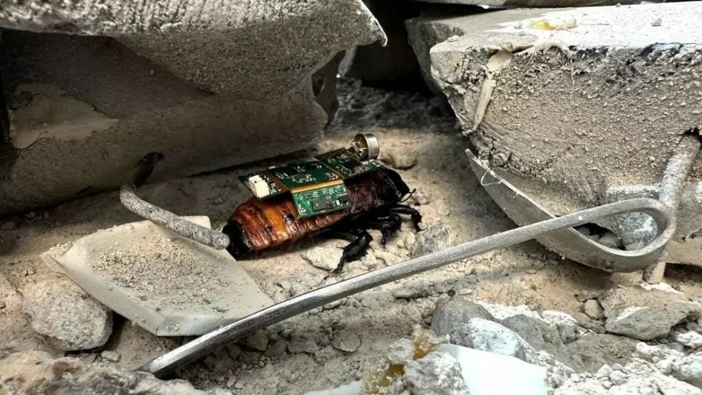 Desarrollan «cibercucarachas» para misiones de rescate