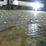 Operativo de la Felcn encontró fusiles y droga en una vivienda de la Pampa de la Isla
