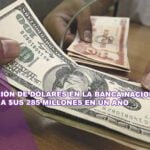 Disposición de dólares en la banca nacional duplicó a $us 285 millones en un año