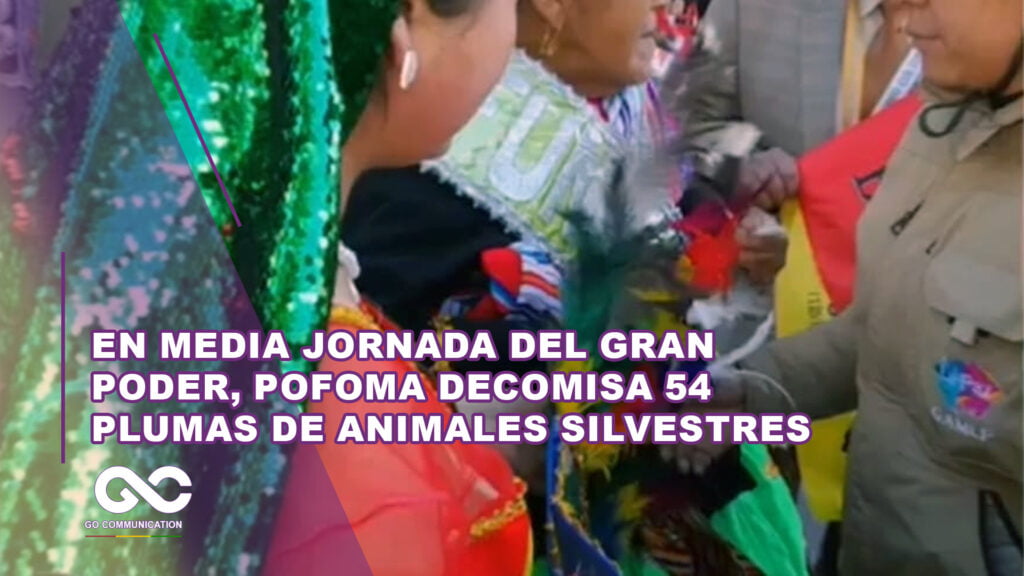 EN MEDIA JORNADA DEL GRAN PODER, POFOMA DECOMISA 54 PLUMAS DE ANIMALES SILVESTRES