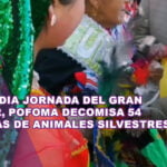 EN MEDIA JORNADA DEL GRAN PODER, POFOMA DECOMISA 54 PLUMAS DE ANIMALES SILVESTRES