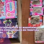 Can detecta paquetes de marihuana envueltos como regalos en frontera con Brasil