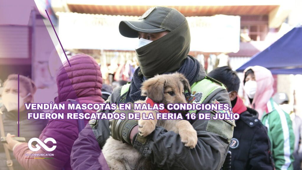 Vendían mascotas en malas condiciones, fueron rescatados de la feria 16 de Julio