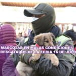 Vendían mascotas en malas condiciones, fueron rescatados de la feria 16 de Julio