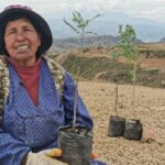 Paulina, la mujer de 63 años que hace dos décadas dedica su vida a la arborización de El Alto