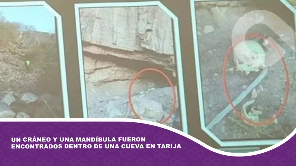 Un cráneo y una mandíbula fueron encontrados dentro de una cueva en Tarija