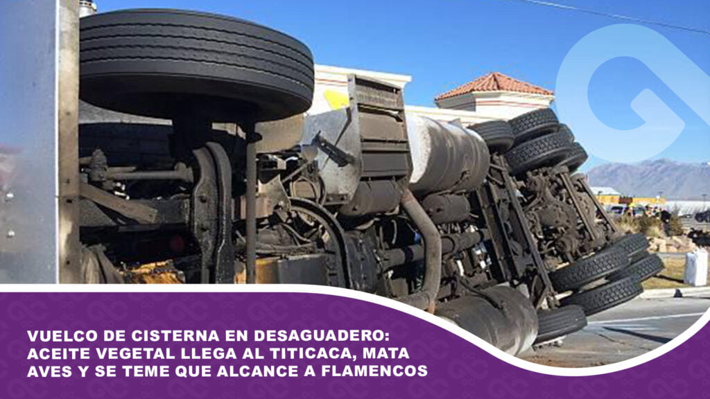 Vuelco de cisterna en Desaguadero: aceite vegetal llega al Titicaca, mata aves y se teme que alcance a flamencos