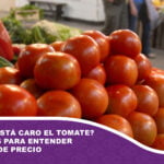 ¿Por qué está caro el tomate? Las claves para entender la subida del precio de este producto