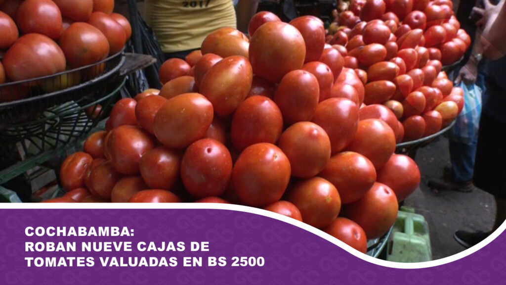 Cochabamba: Roban nueve cajas de tomates valuadas en Bs 2500