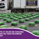 FELCN incauta 31 kilos de clorhidrato de cocaína al interior de un tractocamión en Santa Cruz