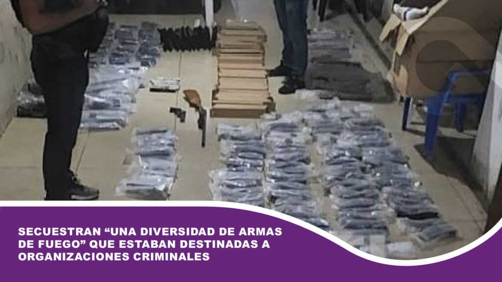 Secuestran “una diversidad de armas de fuego” que estaban destinadas a organizaciones criminales