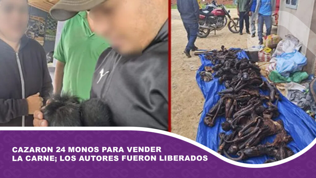 Cazaron 24 monos para vender la carne; los autores fueron liberados