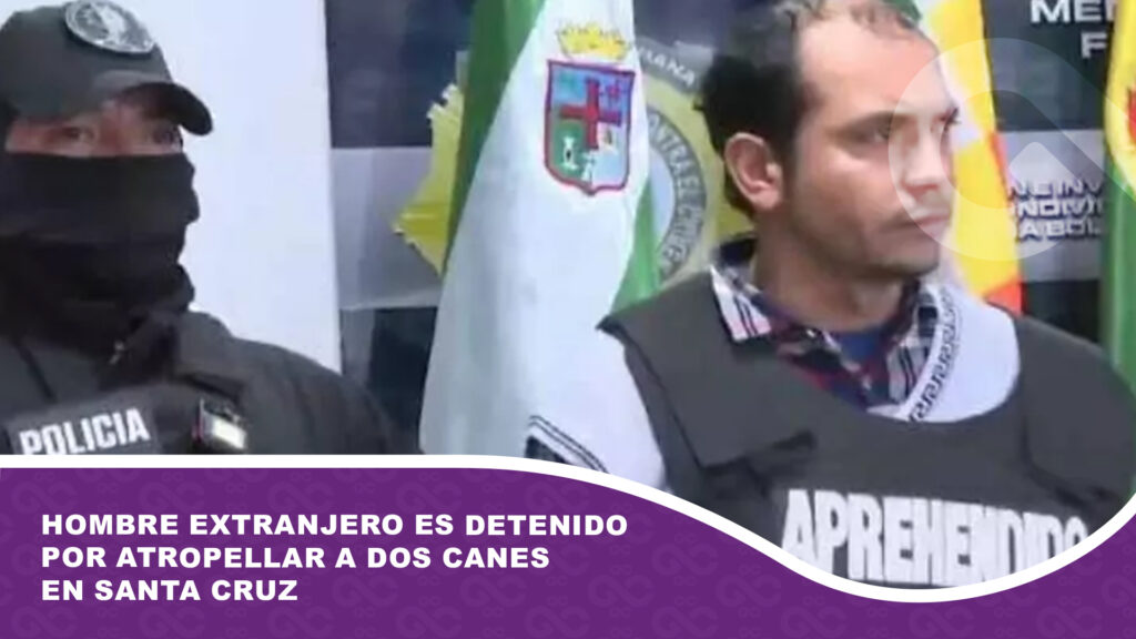 Hombre extranjero es detenido por atropellar a dos canes en Santa Cruz