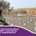 Secuestran 290 kilos de droga en Cochabamba y afectan en $us 250.000 al narcotráfico