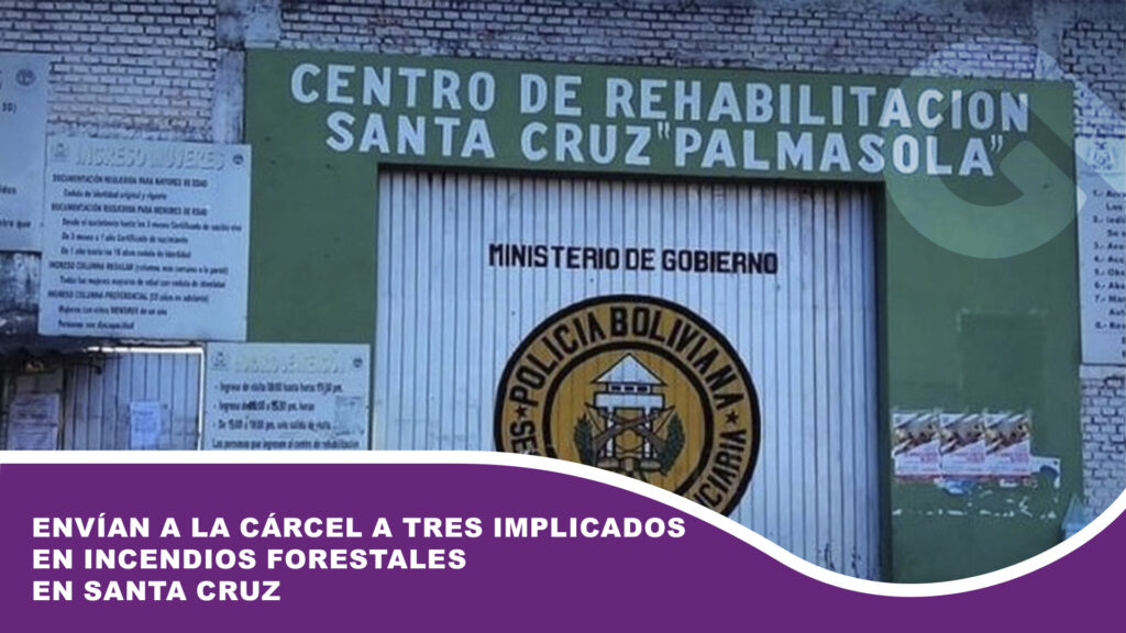 Envían a la cárcel a tres implicados en incendios forestales en Santa Cruz