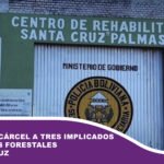 Envían a la cárcel a tres implicados en incendios forestales en Santa Cruz