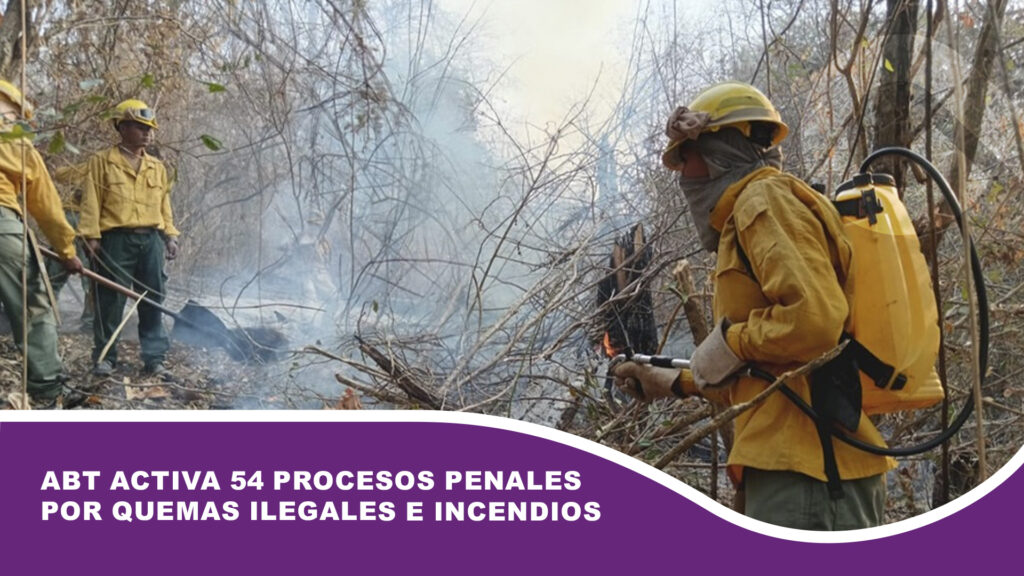 ABT activa 54 procesos penales por quemas ilegales e incendios