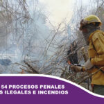 ABT activa 54 procesos penales por quemas ilegales e incendios