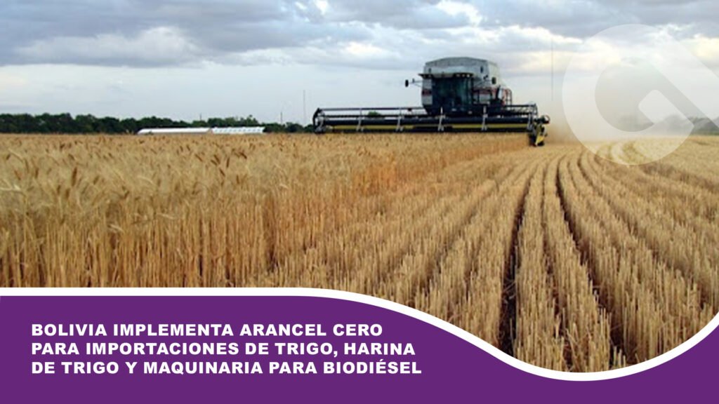 Bolivia implementa arancel cero para importaciones de trigo, harina de trigo y maquinaria para biodiésel
