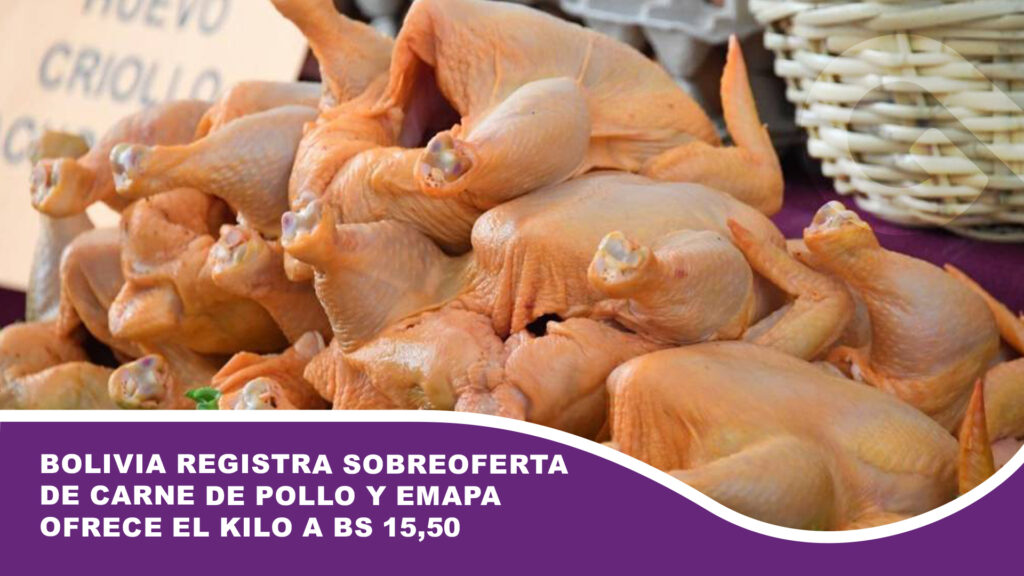 Bolivia registra sobreoferta de carne de pollo y Emapa ofrece el kilo a Bs 15,50