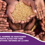 Las cifras del hambre se mantienen persistentemente altas por tres años consecutivos: informa de la ONU