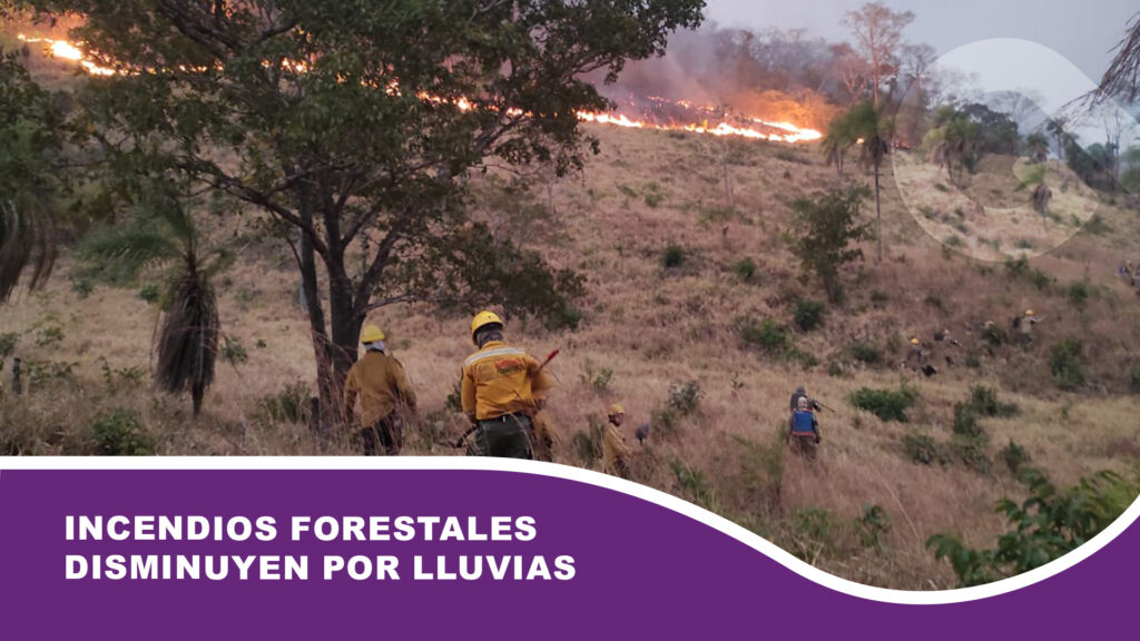 Incendios forestales disminuyen por lluvias