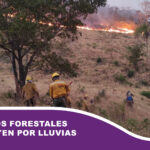 Incendios forestales disminuyen por lluvias