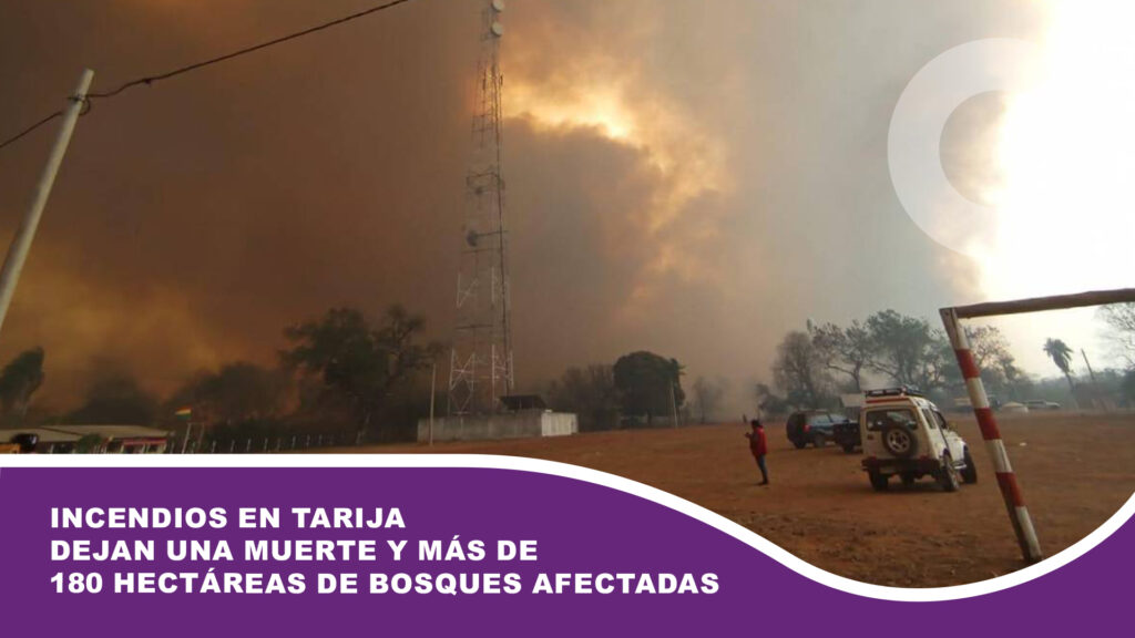 Incendios en Tarija dejan una muerte y más de 180 hectáreas de bosques afectadas