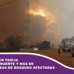 Incendios en Tarija dejan una muerte y más de 180 hectáreas de bosques afectadas