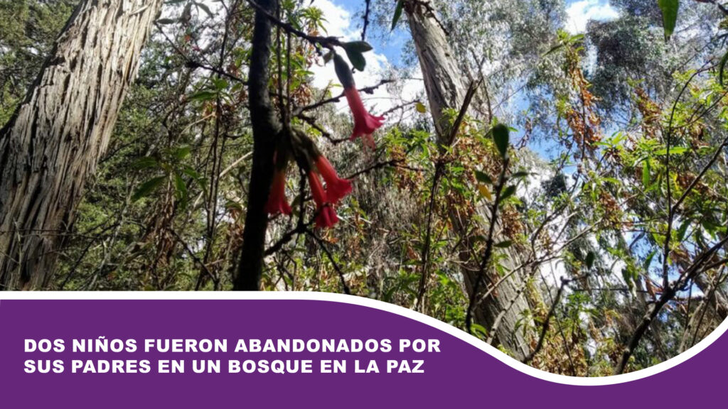 Dos niños fueron abandonados por sus padres en un bosque en La Paz