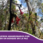 Dos niños fueron abandonados por sus padres en un bosque en La Paz