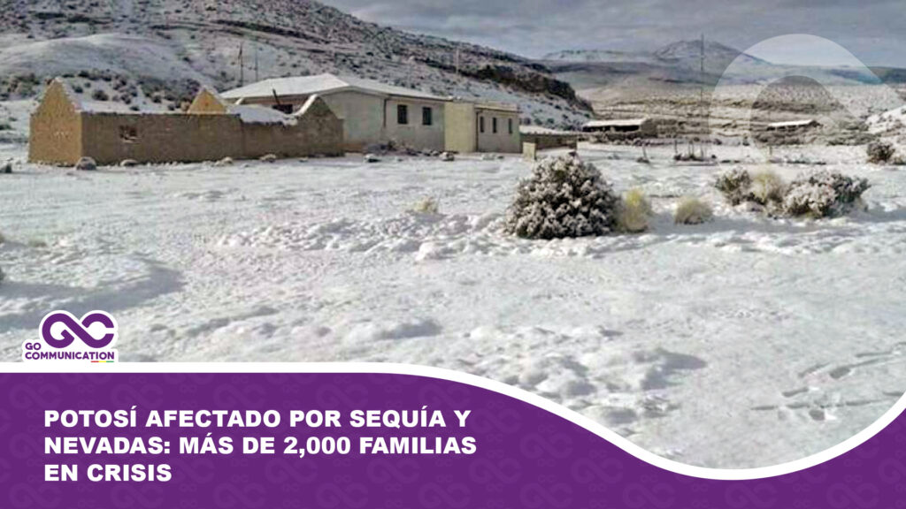 Potosí afectado por sequía y nevadas: más de 2,000 familias en crisis