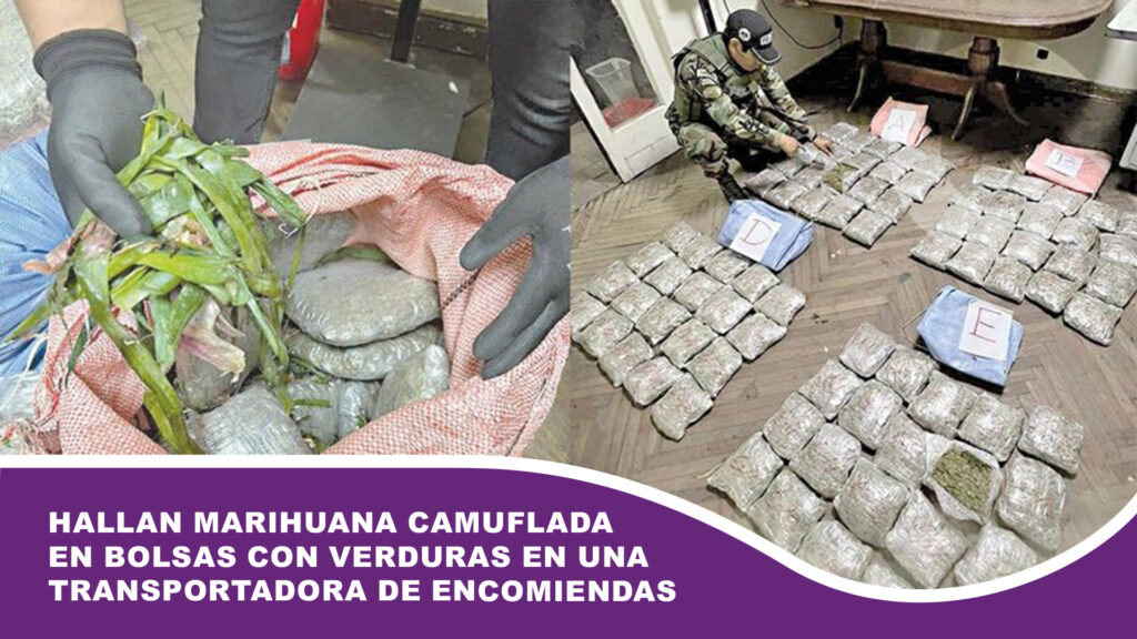 Hallan marihuana camuflada en bolsas con verduras en una transportadora de encomiendas