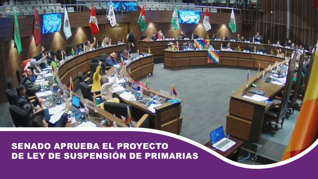 Senado aprueba el proyecto de ley de suspensión de primarias