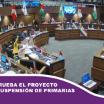 Senado aprueba el proyecto de ley de suspensión de primarias