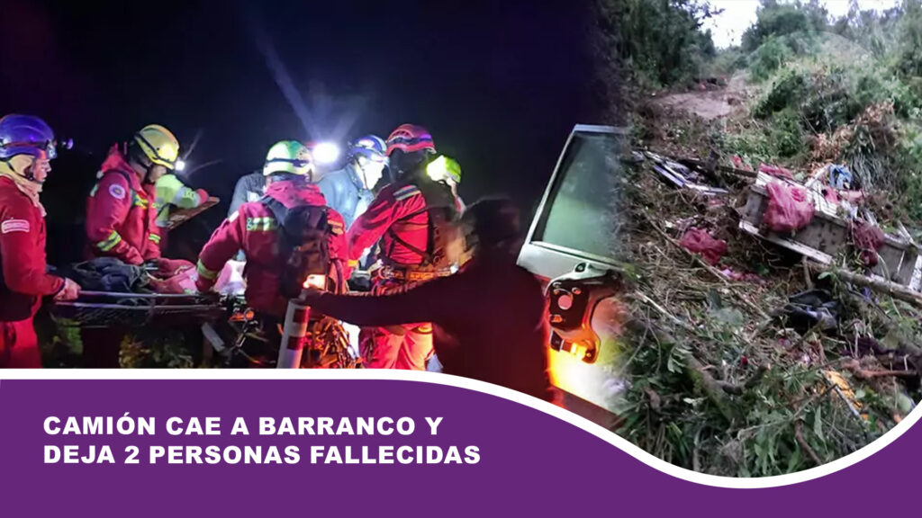 Camión cae a barranco y deja 2 personas fallecidas