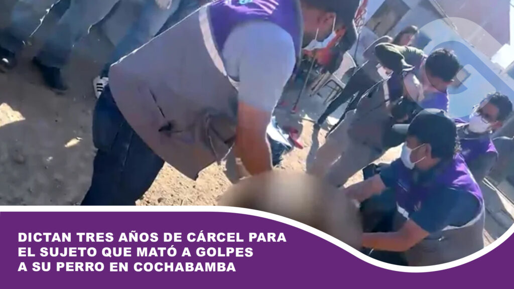 Dictan tres años de cárcel para el sujeto que mató a golpes a su perro en Cochabamba