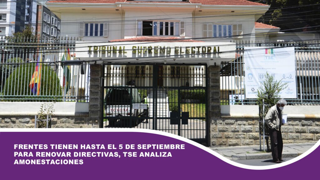 Frentes tienen hasta el 5 de septiembre para renovar directivas, TSE analiza amonestaciones