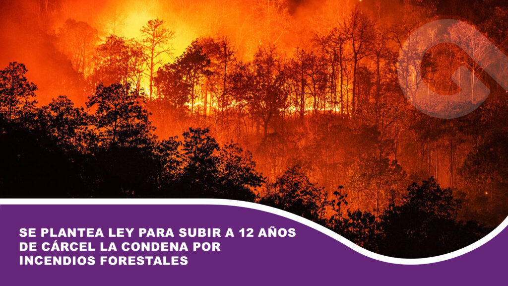 Se plantea ley para subir a 12 años de cárcel la condena por incendios forestales