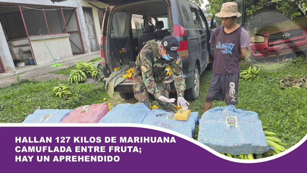 Hallan 127 kilos de marihuana camuflada entre fruta; hay un aprehendido