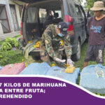 Hallan 127 kilos de marihuana camuflada entre fruta; hay un aprehendido