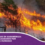 Los incendios en Sudamérica: el 99% son causados por actividades humanas